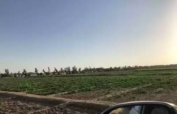 Land Klaar eigendom Gewerbegrundstück  zu verkaufen in Al Sadd , Doha #19846 - 1  image 