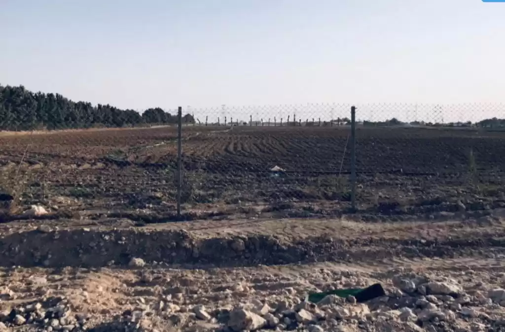 زمین املاک آماده زمین با کاربری مختلط  برای فروش که در السد , دوحه #20801 - 1  image 