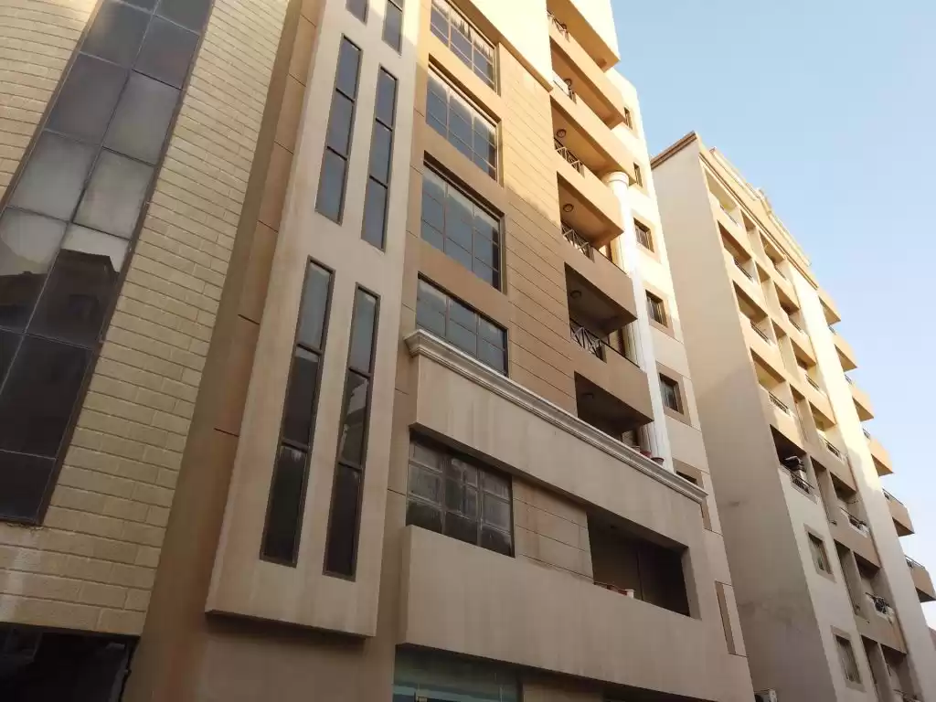 Жилой Готовая недвижимость 2 спальни С/Ж Квартира  продается в Аль-Садд , Доха #20855 - 1  image 