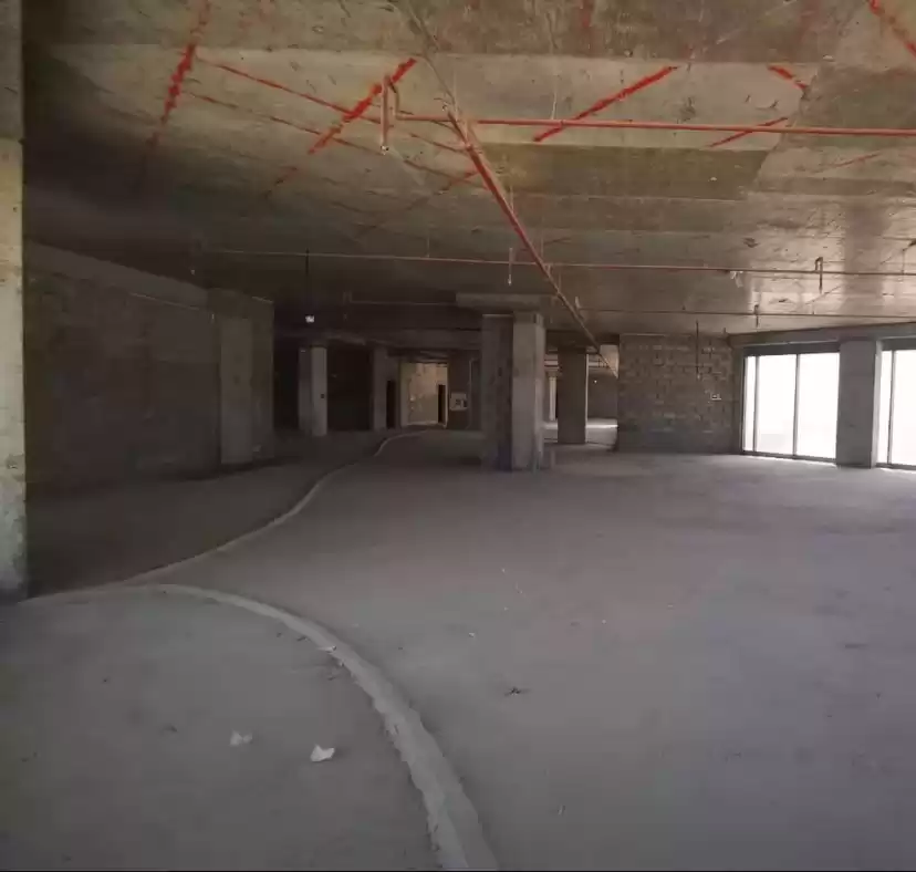 Commercial Shell & Core U/F Full Floor  for rent in Al Sadd , Doha #21291 - 1  image 