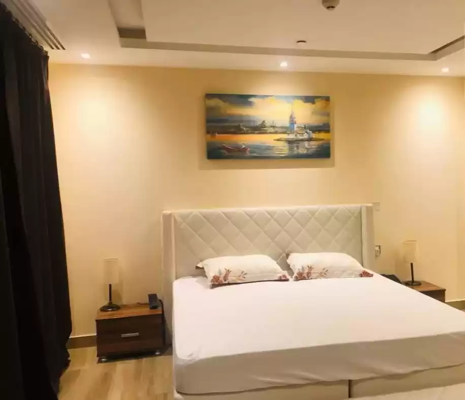 Mixte Utilisé Propriété prête 2 chambres F / F Appartements d'hôtel  a louer au Al-Sadd , Doha #21334 - 1  image 