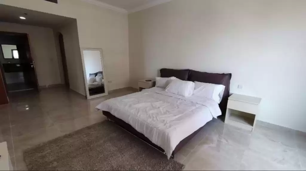 Смешанное использование Готовая недвижимость 2 спальни С/Ж Пентхаус  продается в Аль-Садд , Доха #21510 - 1  image 