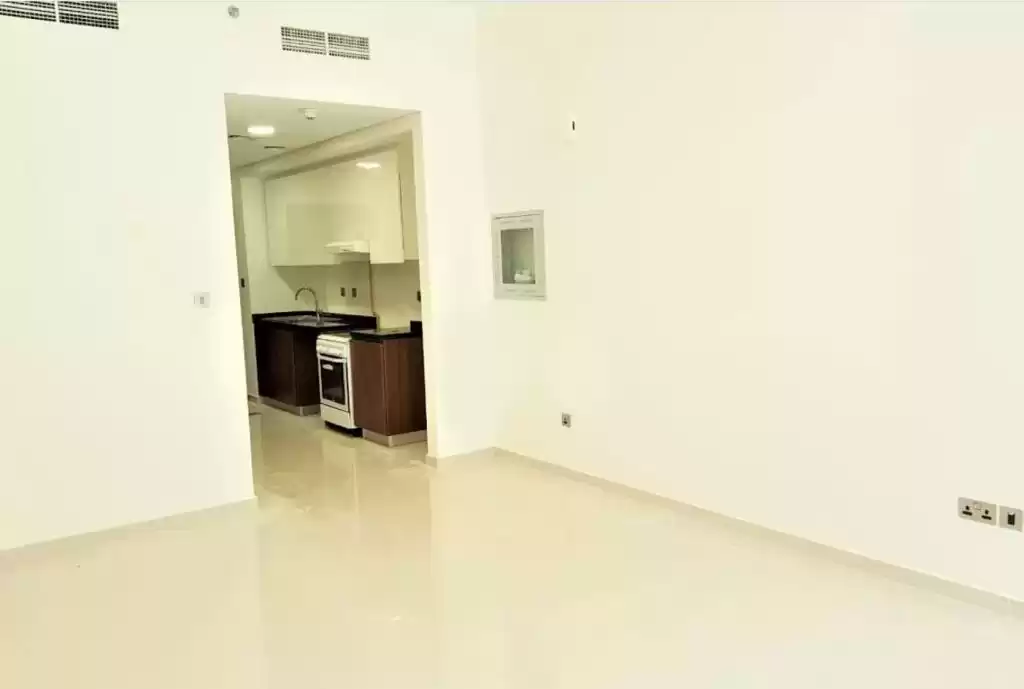 Жилой Готовая недвижимость Студия Н/Ф Квартира  в аренду в Дубай #22880 - 1  image 