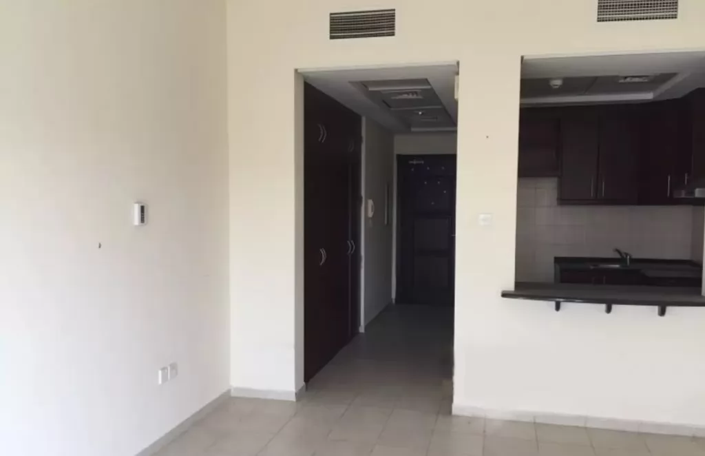 Residential Ready Property Studio U/F Apartment  for rent in Dubai1 #22912 - 1  image 