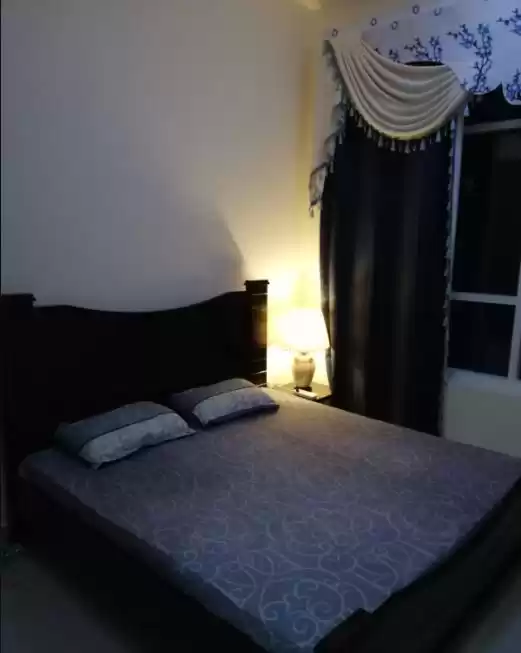 مسکونی املاک آماده 1 اتاق خواب F/F اپارتمان  برای اجاره که در دبی #23305 - 1  image 