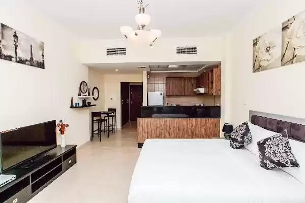 Résidentiel Propriété prête Studio F / F Appartement  a louer au Dubai #24053 - 1  image 