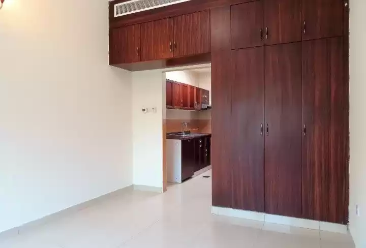 Wohn Klaar eigendom Studio U/F Wohnung  zu vermieten in Dubai #24056 - 1  image 