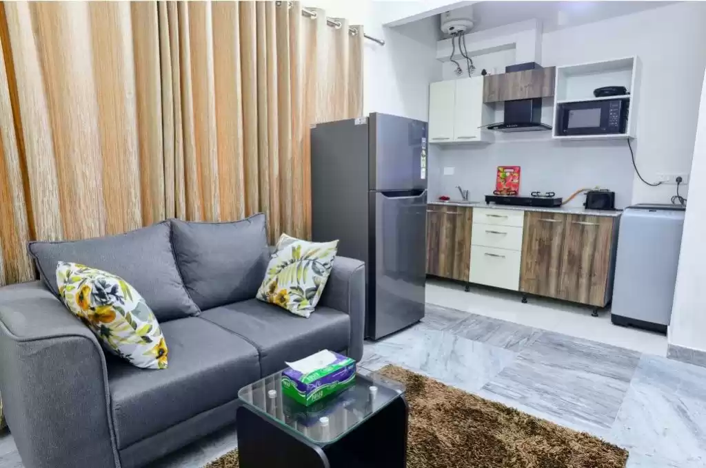 Résidentiel Propriété prête Studio F / F Appartement  a louer au Dubai #24066 - 1  image 