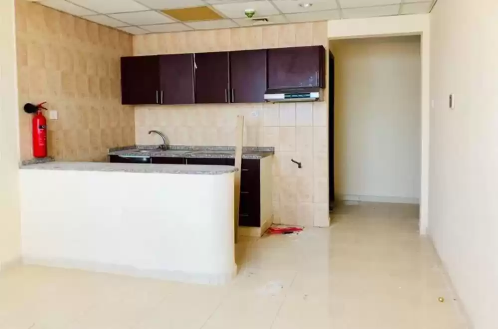 Wohn Klaar eigendom Studio U/F Wohnung  zu vermieten in Dubai #24077 - 1  image 