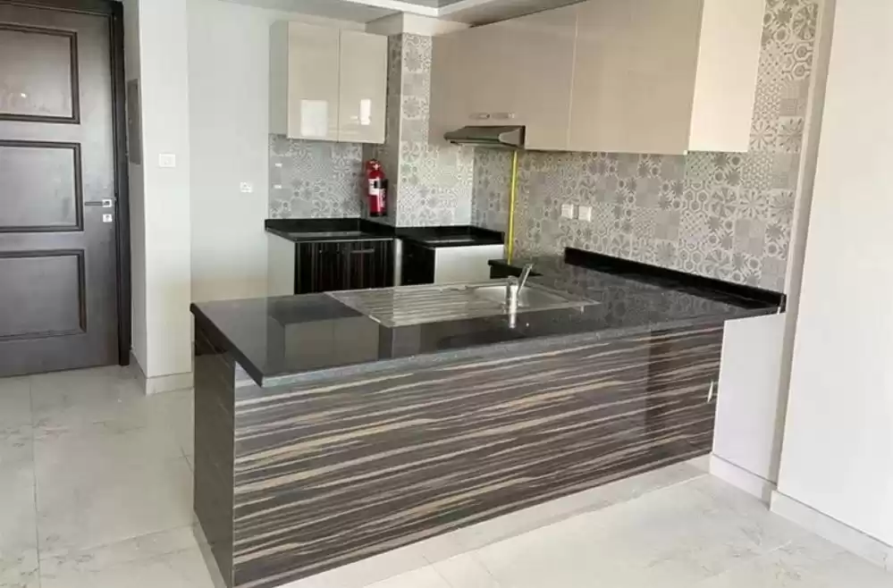 Residential Ready Property Studio S/F Apartment  for rent in Dubai #24080 - 1  image 