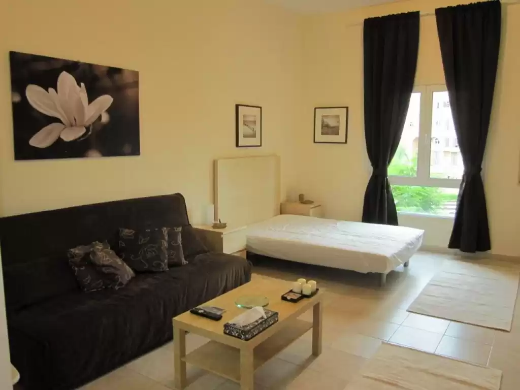 Résidentiel Propriété prête Studio F / F Appartement  a louer au Dubai #24115 - 1  image 