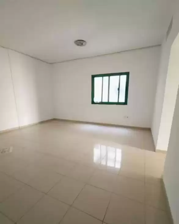 Résidentiel Propriété prête 2 chambres U / f Appartement  a louer au Dubai #24625 - 1  image 