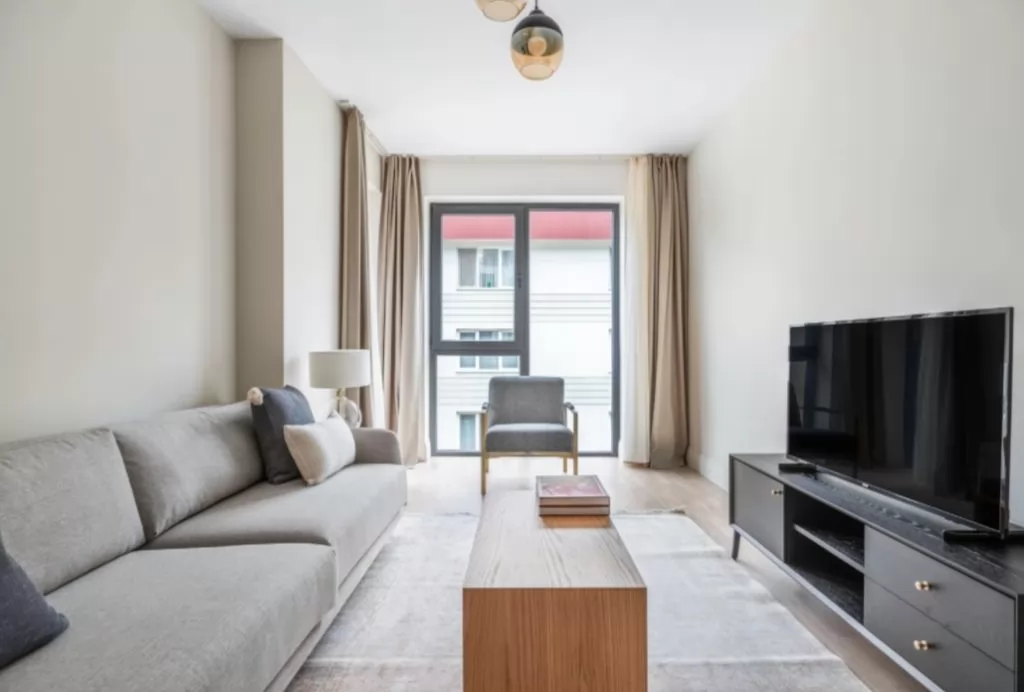 Résidentiel Propriété prête 1 chambre F / F Appartement  a louer au Istanbul #24785 - 1  image 