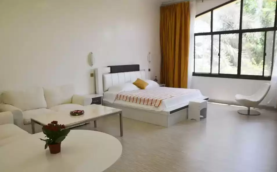 Résidentiel Propriété prête Studio F / F Appartement  a louer au Dubai #25069 - 1  image 