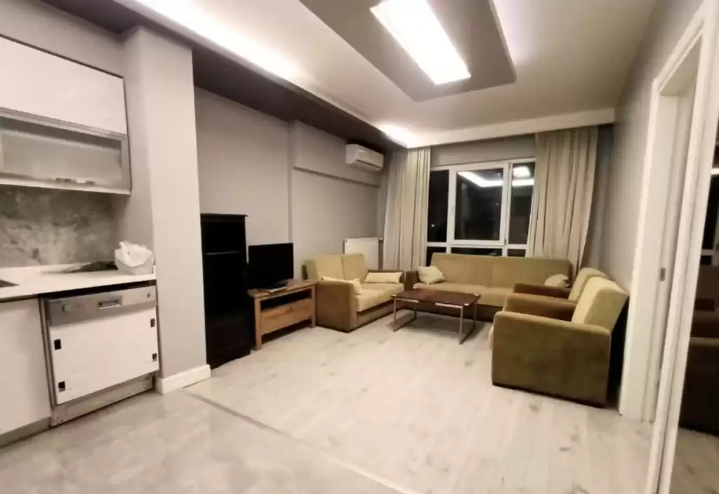 Résidentiel Propriété prête 1 chambre F / F Appartement  a louer au Istanbul #25286 - 1  image 