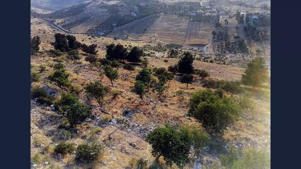Terre Propriété prête Terrain à usage mixte  à vendre au Amman #25401 - 1  image 