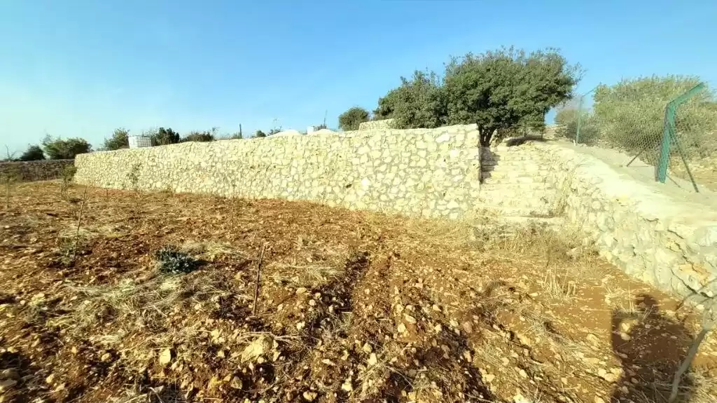 زمین املاک آماده زمین مسکونی  برای فروش که در امان #25641 - 1  image 