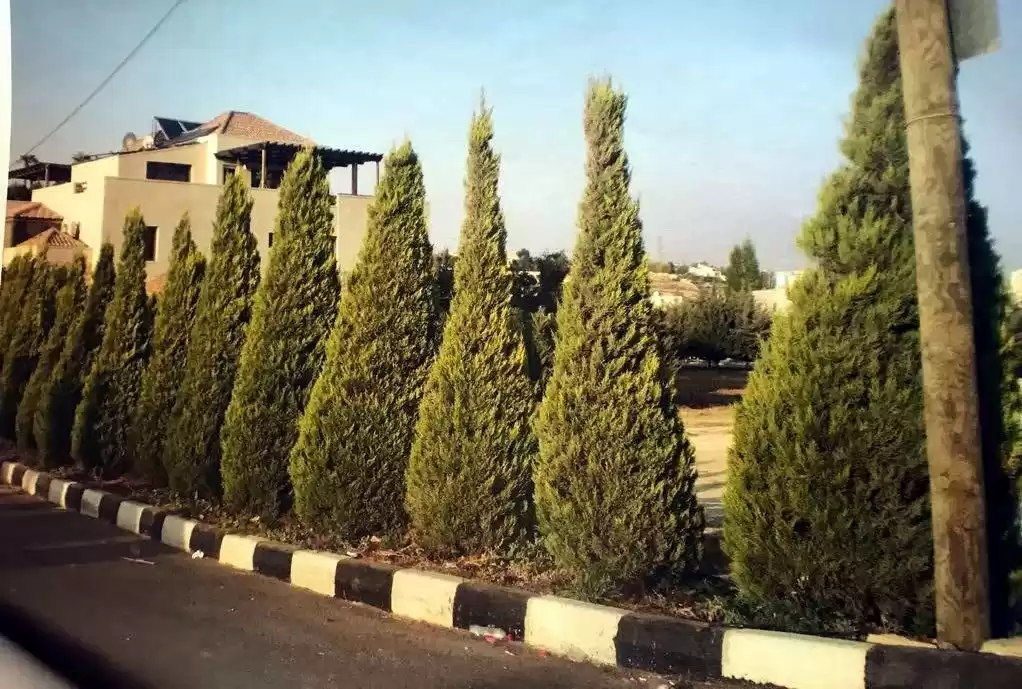Terre Propriété prête Terrains résidentiels  à vendre au Amman #25702 - 1  image 
