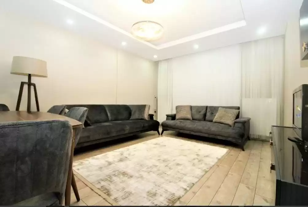 Residential Ready Property 3 Bedrooms U/F Apartment  for sale in Istanbul #25744 - 1  image 
