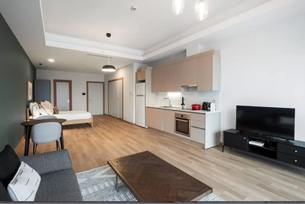 Résidentiel Propriété prête Studio F / F Appartement  a louer au Istanbul #25747 - 1  image 