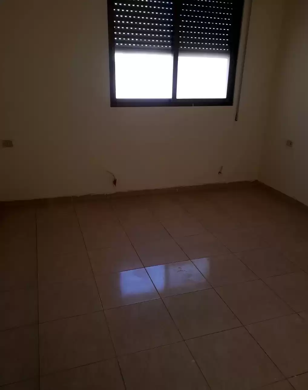 Residential Ready Property 3 Bedrooms U/F Apartment  for rent in Amman #26094 - 1  image 