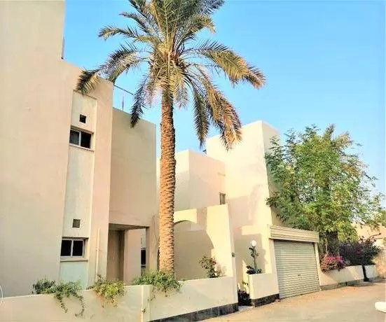 Жилой Готовая недвижимость 3 спальни С/Ж Вилла в комплексе  в аренду в Аль-Манама #26213 - 1  image 
