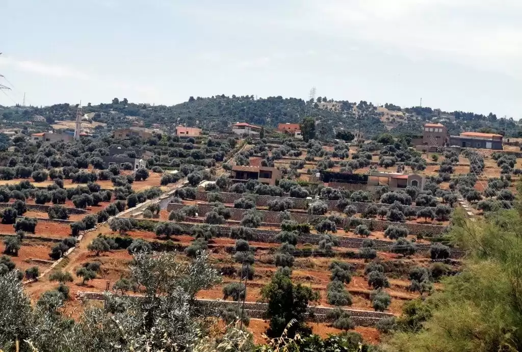 Terre Propriété prête Terrains résidentiels  à vendre au Amman #26751 - 1  image 