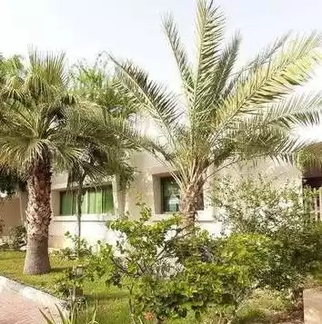 Wohn Klaar eigendom 5 + Zimmermädchen U/F Villa in Verbindung  zu vermieten in Al-Manama #26771 - 1  image 