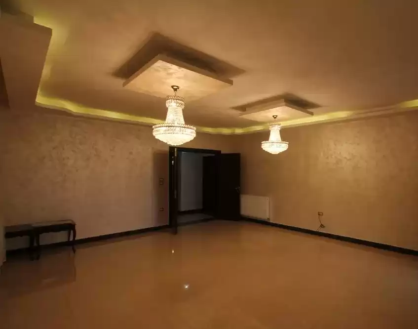 Résidentiel Propriété prête 3 chambres U / f Appartement  à vendre au Amman #27085 - 1  image 