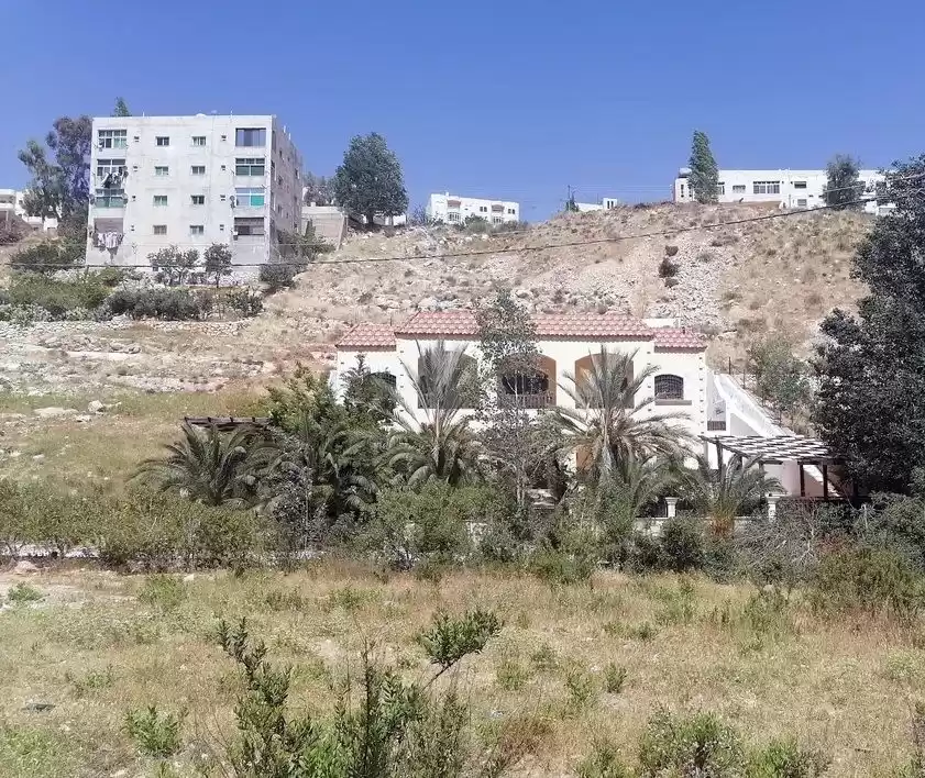 Résidentiel Propriété prête 3 chambres U / f Appartement  à vendre au Amman #27110 - 1  image 
