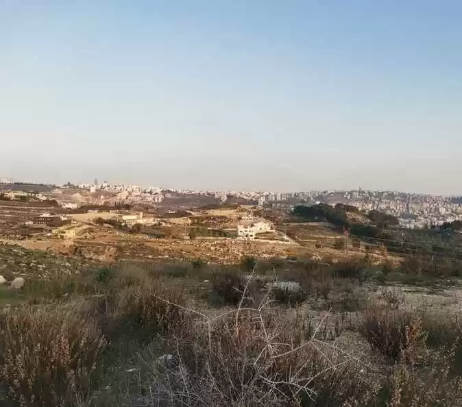 Terre Propriété prête Terrains résidentiels  à vendre au Amman #27662 - 1  image 