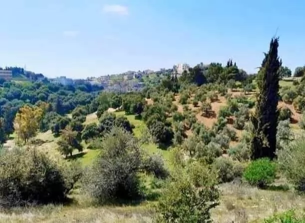 Land Ready Property Residential Land  for sale in Amman #27807 - 1  image 