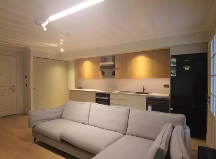 Residential Ready Property 1 Bedroom U/F Apartment  for sale in Istanbul #28216 - 1  image 