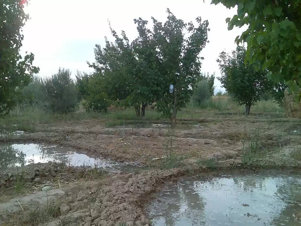 أرض عقار جاهز أرض سكنية  للبيع في دمشق #28249 - 1  صورة 