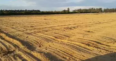 Terre Propriété prête Terrain Commercial  à vendre au Damas #30268 - 1  image 