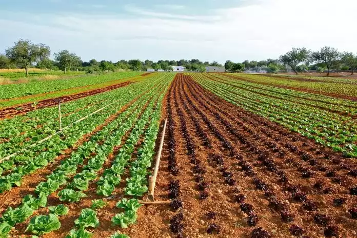 Terre Propriété prête Terrain à usage mixte  à vendre au Riyad #33755 - 1  image 