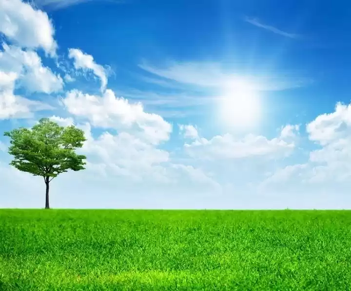 Land Ready Property Commercial Land  for sale in Cairo-Governorate #37686 - 1  image 