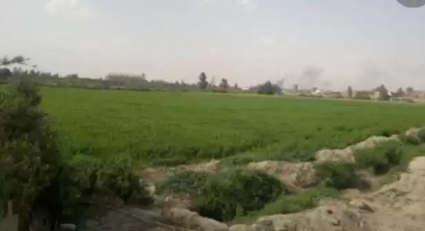 Land Ready Property Residential Land  for sale in Cairo-Governorate #38203 - 1  image 