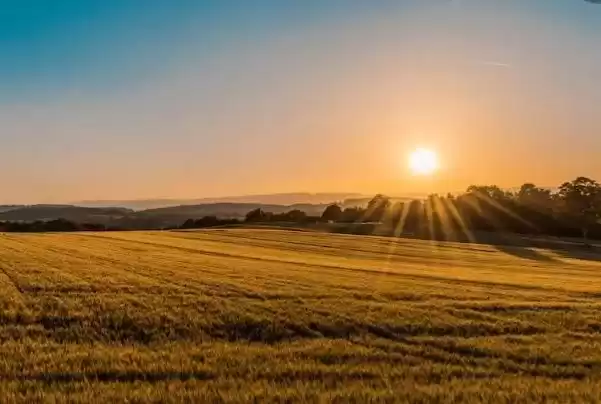 Land Ready Property Commercial Land  for sale in Cairo-Governorate #38205 - 1  image 