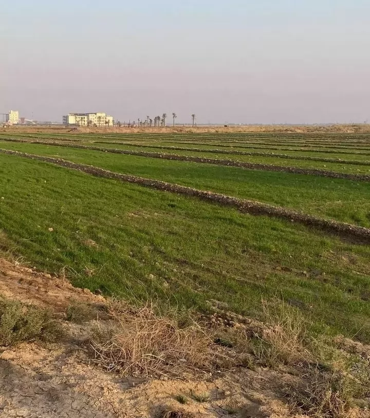 Land Ready Property Residential Land  for sale in Cairo-Governorate #38207 - 1  image 