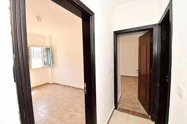 Résidentiel Propriété prête 2 chambres U / f Appartement  à vendre au Alexandrie #39111 - 1  image 