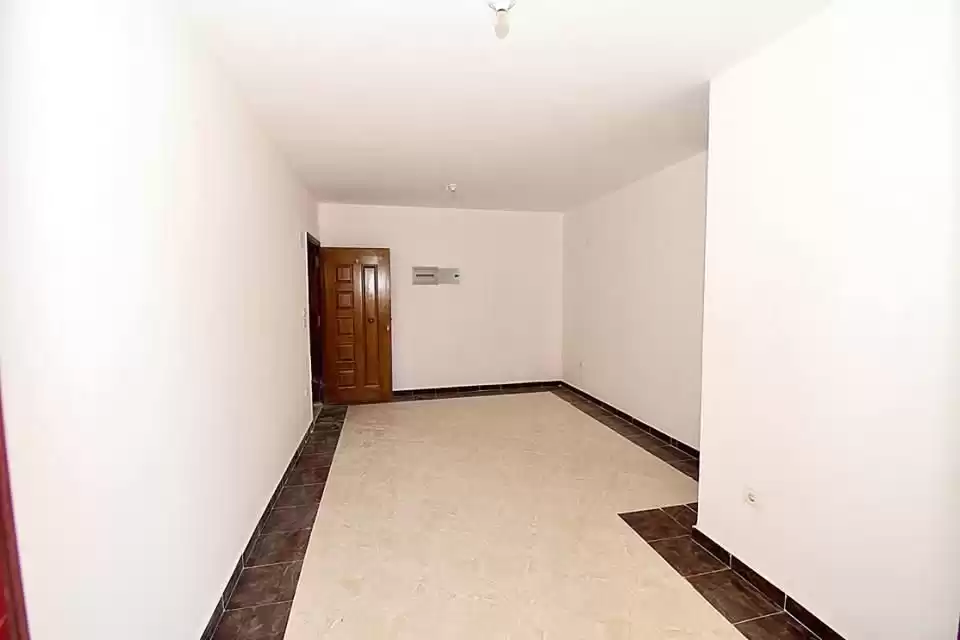 Residential Ready Property 2 Bedrooms S/F Apartment  for sale in Alexandria , Alexandria-Governorate #39124 - 1  image 