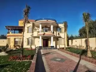 Résidentiel Propriété prête 5 chambres U / f Villa autonome  à vendre au Le-Caire , Gouvernorat-du-Caire #40717 - 1  image 