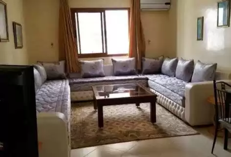 Résidentiel Propriété prête 2 chambres S / F Appartement  à vendre au Le-Caire , Gouvernorat-du-Caire #41078 - 1  image 