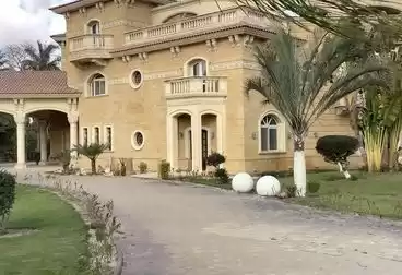 Résidentiel Propriété prête 5 chambres U / f Villa autonome  à vendre au Le-Caire , Gouvernorat-du-Caire #42350 - 1  image 