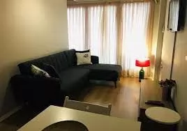 سكنية وتجارية عقار جاهز 2 غرف  نصف مفروش شقة  للإيجار في ازمير #42615 - 1  صورة 