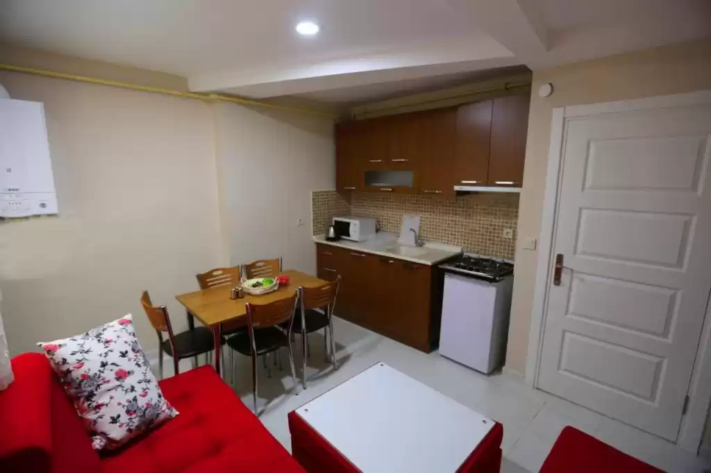 Résidentiel Propriété prête 2 chambres F / F Appartement  à vendre au Istanbul #43634 - 1  image 