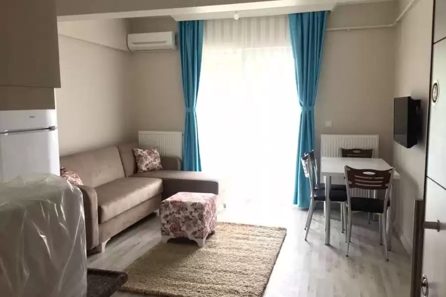 Residential Ready Property 2 Bedrooms U/F Apartment  for sale in Istanbul #43796 - 1  image 