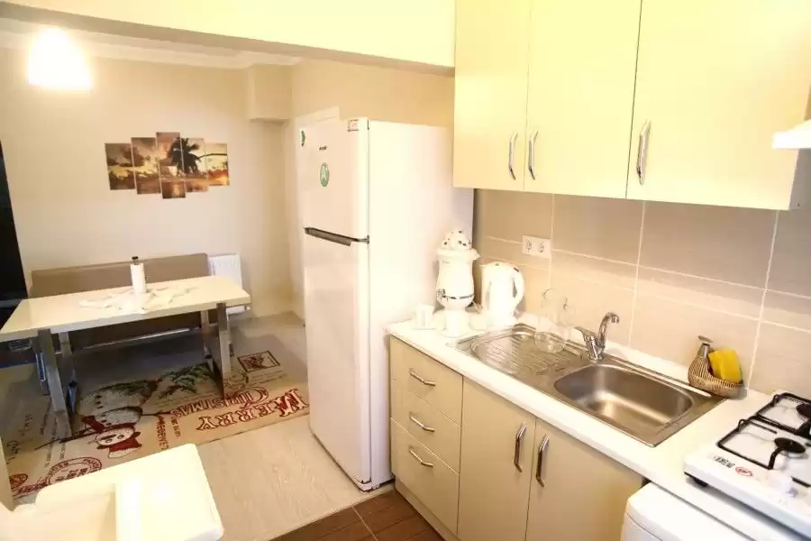 Résidentiel Propriété prête 2 chambres F / F Appartements d'hôtel  à vendre au Istanbul #43806 - 1  image 