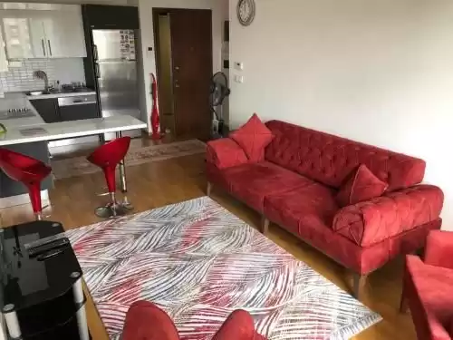 Residential Ready Property Studio F/F Apartment  for sale in Istanbul #43913 - 1  image 